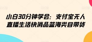 小白30分钟学会：支付宝无人直播生活快消品蓝海类目带货【揭秘】-最全资源库