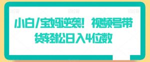 小白/宝妈逆袭！视频号带货轻松日入4位数【揭秘】-最全资源库