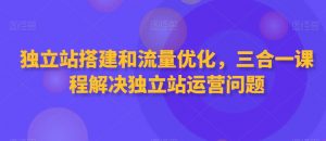 独立站搭建和流量优化,三合一课程解决独立站运营问题-最全资源库