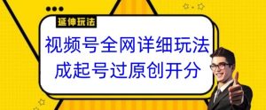 视频号全网最详细玩法，起号过原创开分成，单号日入300+【揭秘】-最全资源库