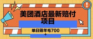 美团酒店最新赔付项目，单日薅羊毛700+【仅揭秘】-最全资源库