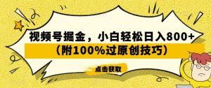 视频号掘金，小白轻松日入800+（附100%过原创技巧）【揭秘】-最全资源库