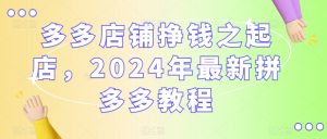 多多店铺挣钱之起店，2024年最新拼多多教程-最全资源库