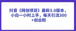 抖音《网创项目》最新3.0版本，小白一小时上手，每天引流300+创业粉【揭秘】-最全资源库