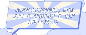 小红书运营成长课，写作入门&内容运营&接广变现【文档】-最全资源库