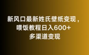 新风口最新姓氏壁纸变现,喂饭教程日入600+【揭秘】-最全资源库