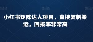 小红书矩阵达人项目，直接复制搬运，回报率非常高-最全资源库