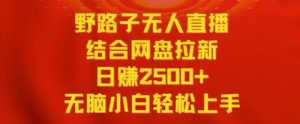 野路子无人直播结合网盘拉新，日赚2500+，小白无脑轻松上手【揭秘】-最全资源库