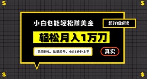 谷歌看广告撸美金2.0，无脑挂机，多号操作，月入1万刀【揭秘】-最全资源库