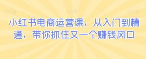 小红书电商运营课,从入门到精通,带你抓住又一个赚钱风口-最全资源库