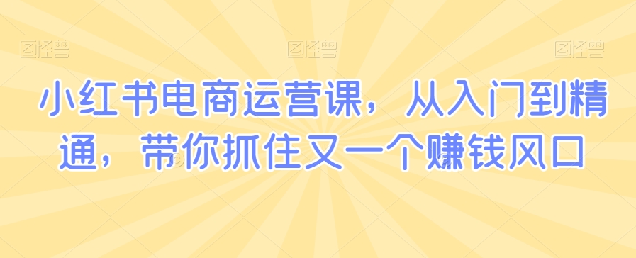 小红书电商运营课,从入门到精通,带你抓住又一个赚钱风口-最全资源库