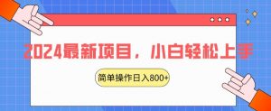 2024最新项目，红娘项目，简单操作轻松日入800+【揭秘】-最全资源库