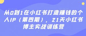 从0到1在小红书打造赚钱的个人IP(第四期),21天小红书博主实战训练营-最全资源库