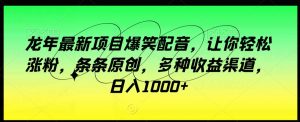 龙年最新项目爆笑配音，让你轻松涨粉，条条原创，多种收益渠道，日入1000+【揭秘】-最全资源库