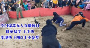 冷门爆款无人直播项目，简单易学上手快，变现快日赚2千不是梦【揭秘】-最全资源库