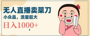 无人冷门品直播新玩法，通过卖菜刀日入1000+【揭秘】-最全资源库