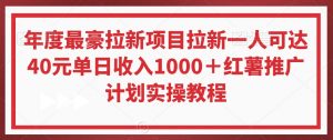 年度最豪拉新项目拉新一人可达40元单日收入1000＋红薯推广计划实操教程【揭秘】-最全资源库