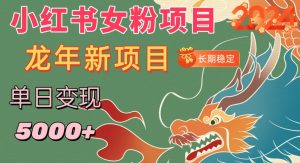 小红书女粉头像项目，单日变现5000+，适合在家做的副业，长期稳定【揭秘】-最全资源库