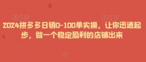 2024拼多多日销0-100单实操，让你迅速起步，做一个稳定盈利的店铺出来-最全资源库