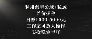 利用淘宝公域+私域差价掘金,日赚1000-5000元,工作室可放大操作,实操稳定半年【揭秘】-最全资源库