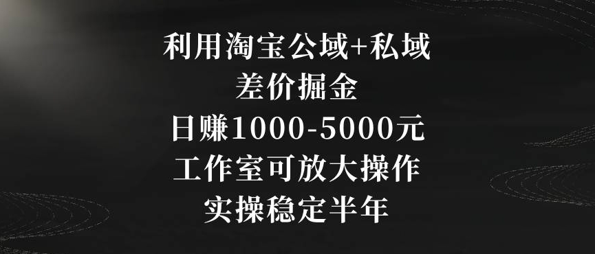 利用淘宝公域+私域差价掘金,日赚1000-5000元,工作室可放大操作,实操稳定半年【揭秘】-最全资源库