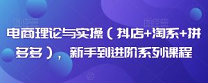 电商理论与实操（抖店+淘系+拼多多），新手到进阶系列课程-最全资源库