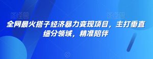 全网最火搭子经济暴力变现项目,主打垂直细分领域,精准陪伴【揭秘】-最全资源库