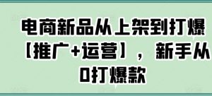 电商新品从上架到打爆【推广+运营】，新手从0打爆款-最全资源库