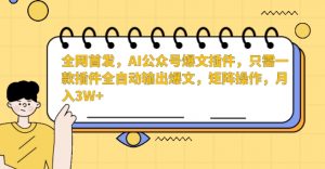 全网首发，AI公众号爆文插件，只需一款插件全自动输出爆文，矩阵操作，月入3W+【揭秘】-最全资源库