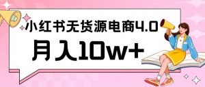 小红书新电商实战，无货源实操从0到1月入10w+联合抖音放大收益【揭秘】-最全资源库