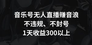 音乐号无人直播赚音浪，不违规、不封号，1天收益300+【揭秘】-最全资源库