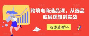跨境电商选品课，从选品到底层逻辑到实战-最全资源库