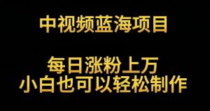 中视频蓝海项目，解读英雄人物生平，每日涨粉上万，小白也可以轻松制作，月入过万不是梦【揭秘】-最全资源库