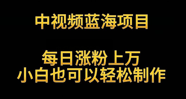 中视频蓝海项目，解读英雄人物生平，每日涨粉上万，小白也可以轻松制作，月入过万不是梦【揭秘】-最全资源库