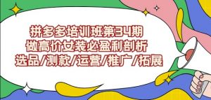 拼多多培训班第34期:做高价女装必盈利剖析选品/测款/运营/推广/拓展-最全资源库
