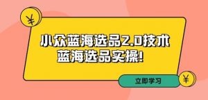 拼多多培训第33期：小众蓝海选品2.0技术-蓝海选品实操！-最全资源库