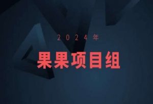 2024年果果项目组项目合集-果果最新项目-最全资源库