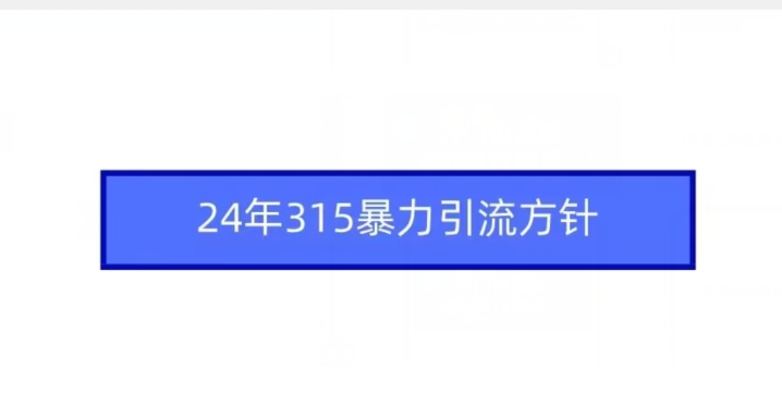 24年315暴力引流方针-最全资源库
