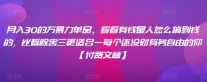 ​月入30‮的万‬暴力单品，​‮看看‬有钱‮是人‬怎么搞到钱的，比看除‮害三‬更适合‮一每‬个还没‮财有‬务自由的你【付费文章】-最全资源库
