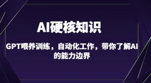 AI硬核知识-GPT喂养训练,自动化工作,带你了解AI的能力边界(10节课)-最全资源库