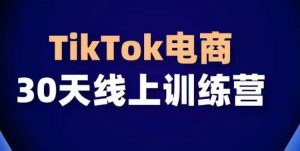 TikTok电商带货30天线上课，不可错过的全球流量洼地！-最全资源库