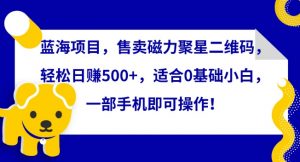蓝海项目，售卖磁力聚星二维码，轻松日赚500+，适合0基础小白，一部手机即可操作【揭秘】-最全资源库