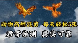 动物超燃混剪，每天轻松5张，剪辑简单大家爱看【揭秘】-最全资源库