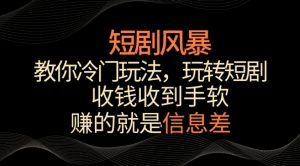 短剧风暴，教你冷门玩法，玩转短剧，收钱收到手软【揭秘】-最全资源库