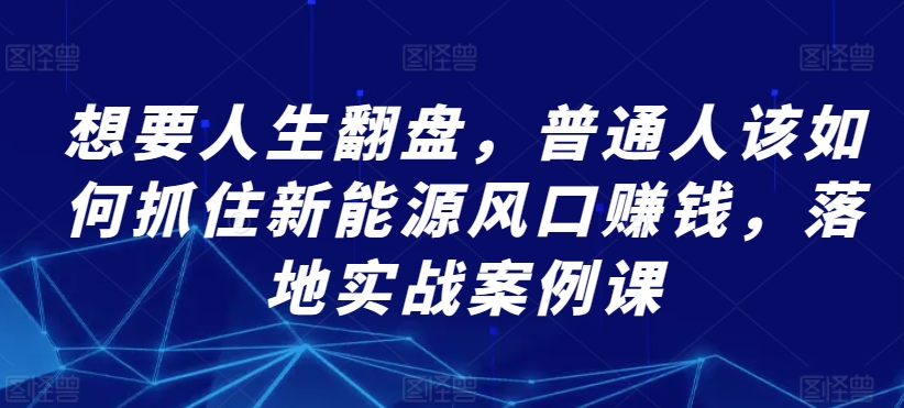 想要人生翻盘,普通人该如何抓住新能源风口赚钱,落地实战案例课-最全资源库