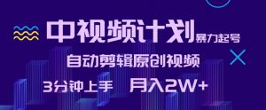 中视频计划暴力起号，自动剪辑原创视频，3分钟上手，月入2W+【揭秘】-最全资源库