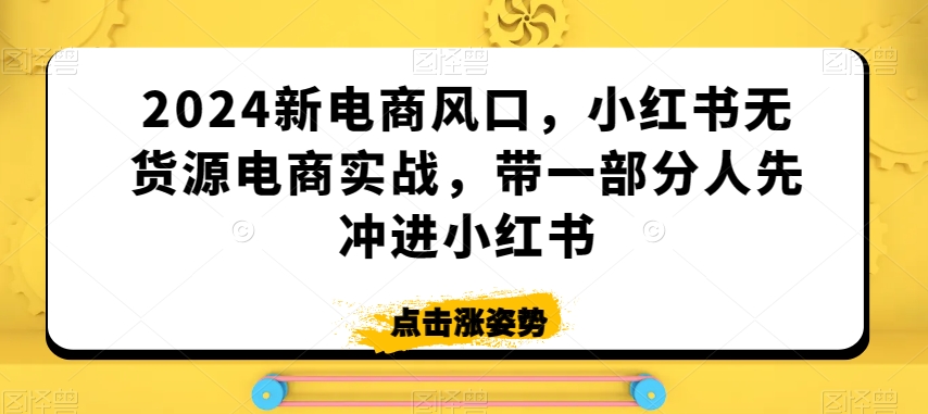 2024新电商风口，小红书无货源电商实战，带一部分人先冲进小红书-最全资源库