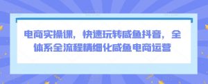 电商实操课，快速玩转咸鱼抖音，全体系全流程精细化咸鱼电商运营-最全资源库