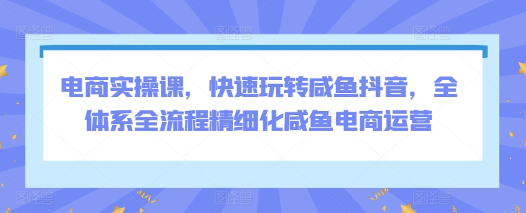电商实操课，快速玩转咸鱼抖音，全体系全流程精细化咸鱼电商运营-最全资源库