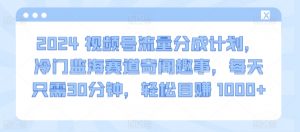 2024视频号流量分成计划,冷门监海赛道奇闻趣事,每天只需30分钟,轻松目赚 1000+【揭秘】-最全资源库